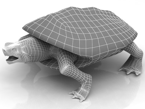 Tortuga boba Modelo 3D