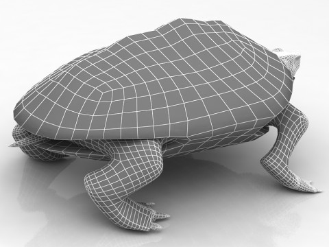 Tortuga boba Modelo 3D