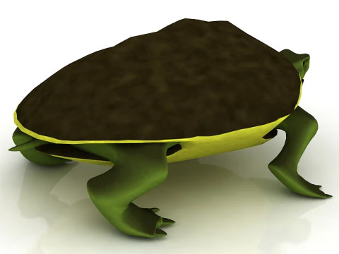 Tartaruga cabe&ccedil;uda Modelo 3D