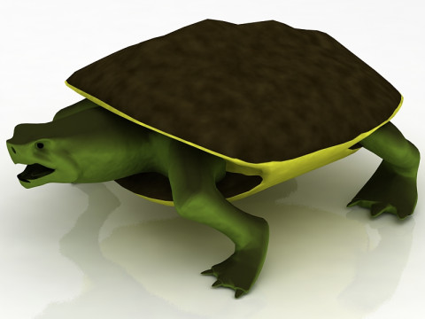 Tortuga boba Modelo 3D