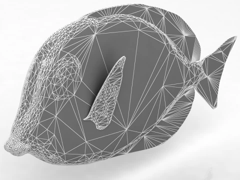 Ambly Fish 3D Model
