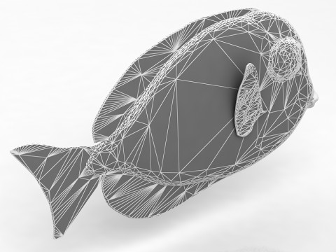 Pez Ambly Modelo 3D