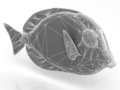 Pez Ambly Modelo 3D