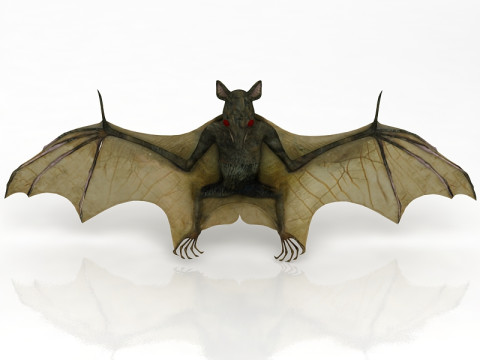 Flying Bat 3D Model