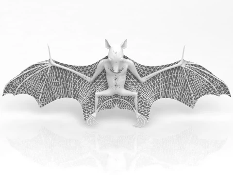 Pipistrello volante Modello 3D