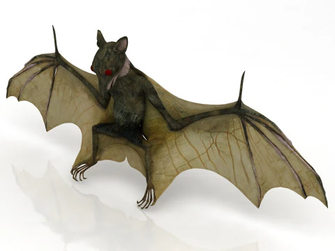 Pipistrello volante Modello 3D