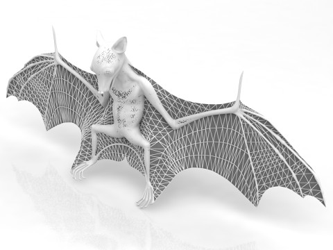 Latający nietoperz Model 3D