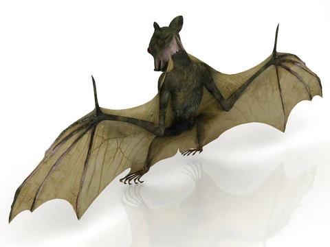 Pipistrello volante Modello 3D