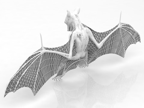 Latający nietoperz Model 3D
