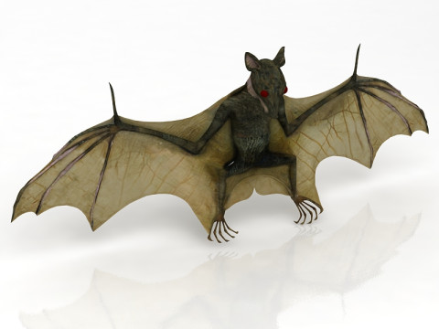 Latający nietoperz Model 3D