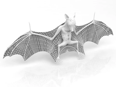 Pipistrello volante Modello 3D
