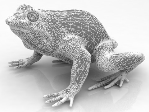 Frosch 3D Modell