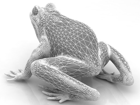 Frosch 3D Modell