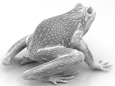 Frosch 3D Modell