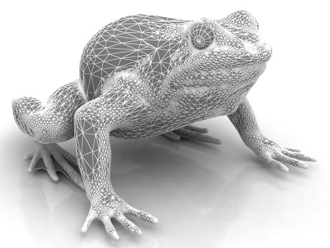 Frog 3D Model