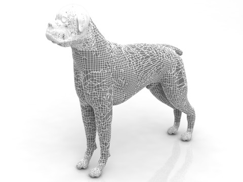 Boks&ouml;r K&ouml;pek 3D Model