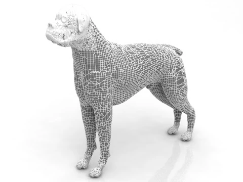 Boxer Dog 3D Model