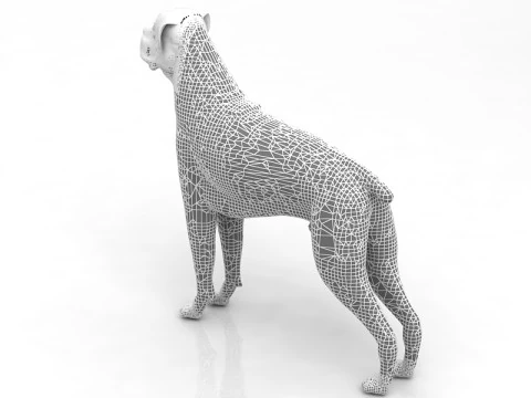 Boxer Dog 3D Model