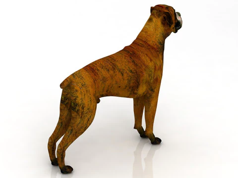 Boxer Dog 3D Model
