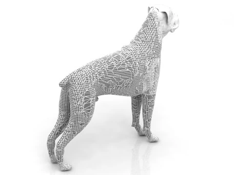 Boxer Dog 3D Model
