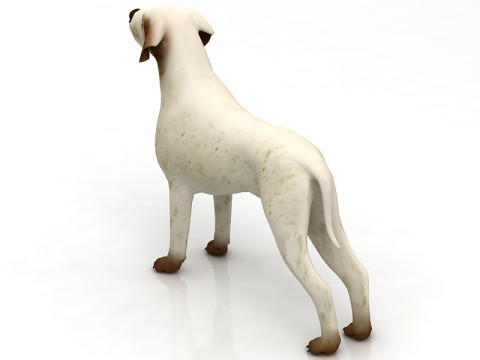 Немецкий пойнтер 3D Модель
