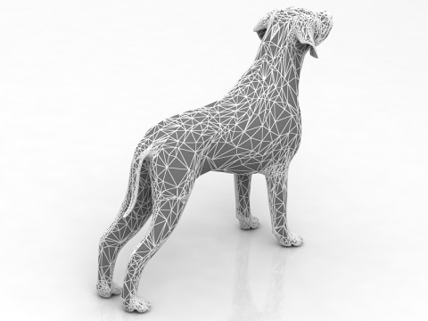 Немецкий пойнтер 3D Модель