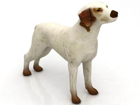 Немецкий пойнтер 3D Модель