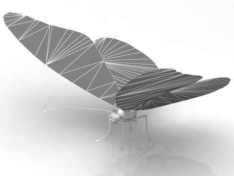 Motyl Model 3D