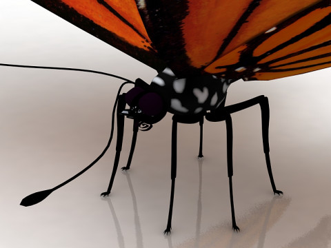 Motyl Model 3D
