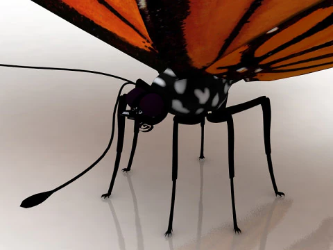Butterfly 3D Model