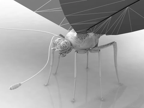 Butterfly 3D Model