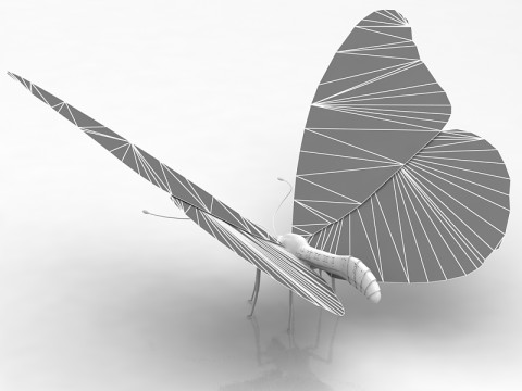 Motyl Model 3D