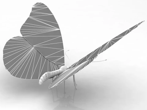 Butterfly 3D Model