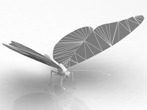 Motyl Model 3D
