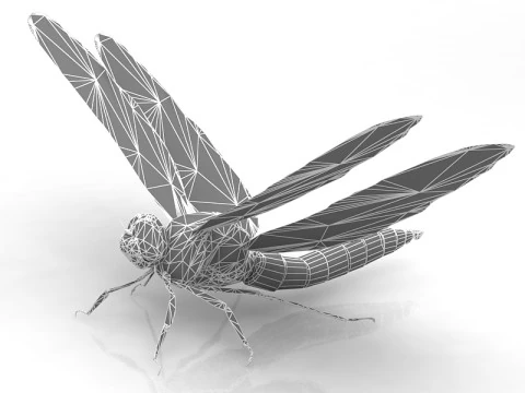 Dragonfly Pose 3D Model