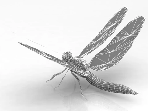 Dragonfly Pose 3D Model