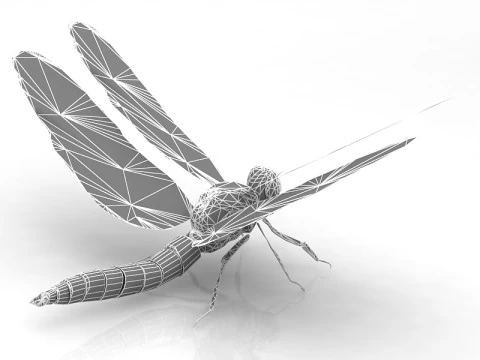 Dragonfly Pose 3D Model
