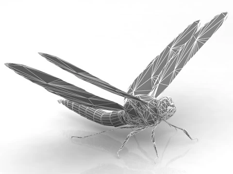 Dragonfly Pose 3D Model