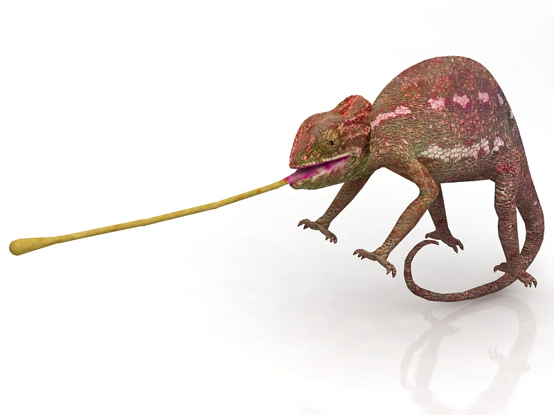 Chameleon 3D Model .c4d .max .obj .3ds .fbx .stl .blend 