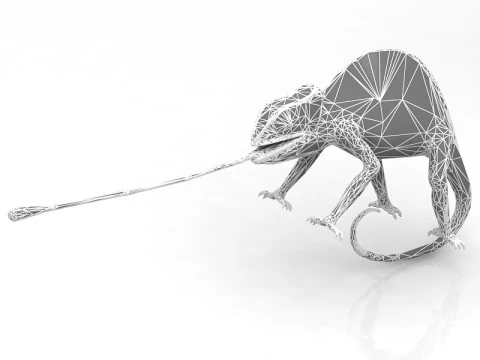 Chameleon 3D Model