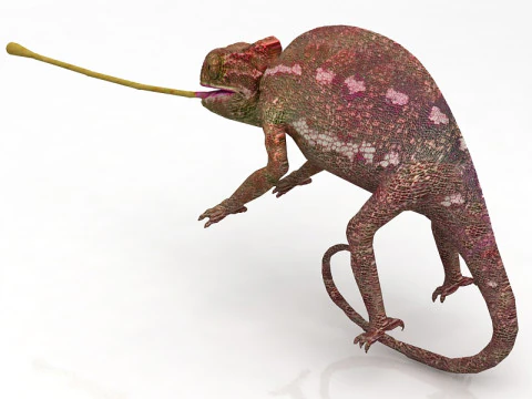 Chameleon 3D Model