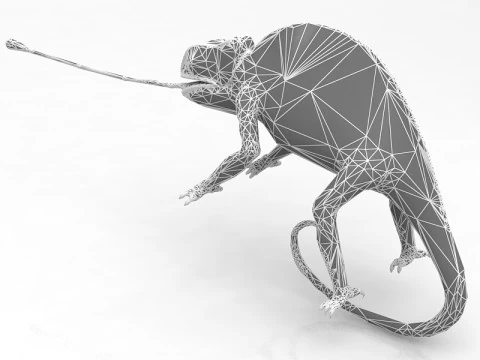 Chameleon 3D Model