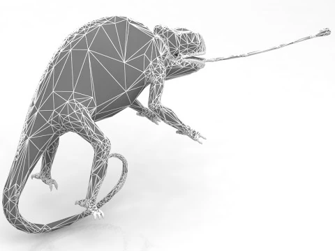 Chameleon 3D Model