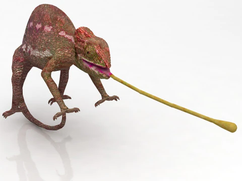 Chameleon 3D Model