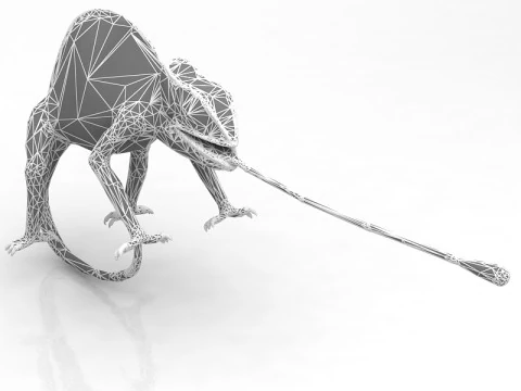 Chameleon 3D Model