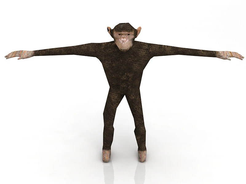 Chimp 3D Model .c4d .max .obj .3ds .fbx .stl .blend 
