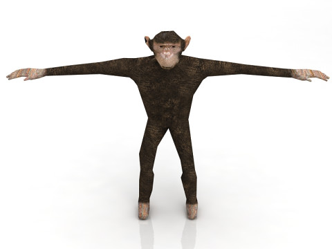 Chimp 3D Model