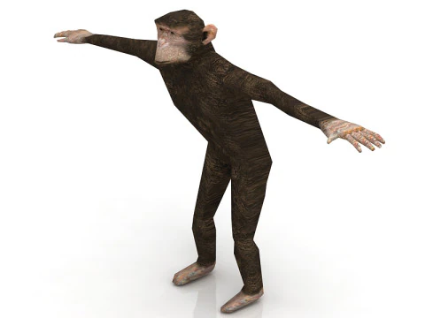 Chimp 3D Model
