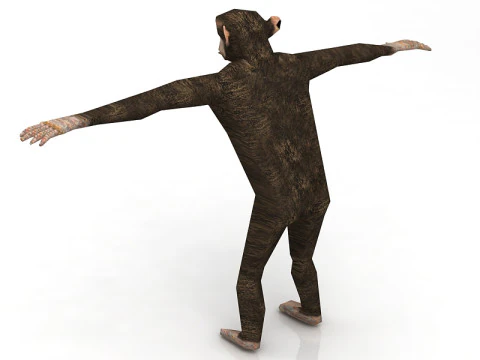 Chimp 3D Model