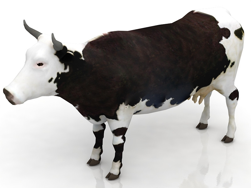 Vache Modèle 3D .c4d .max .obj .3ds .fbx .stl .blend 